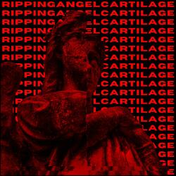 Strings in C (bonus track)