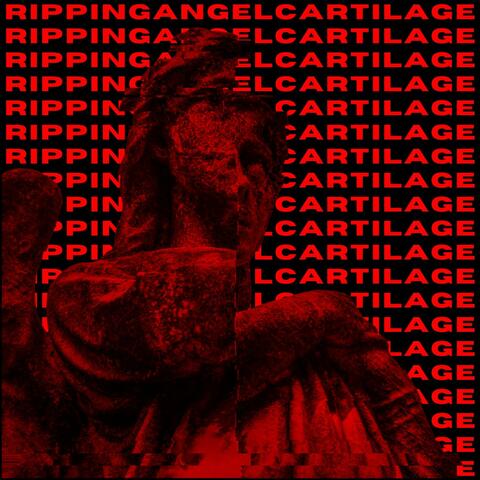 RIPPINGANGELCARTILAGE