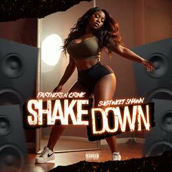 ShakeDown (feat. Subtweet Shawn)