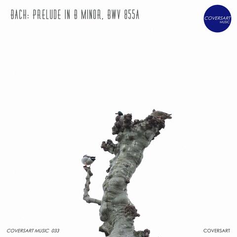 Bach: Prelude in B minor, BWV 855a (Arr. by Alexander Siloti)