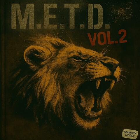 VOL. 2