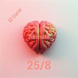 25/8 Bachata