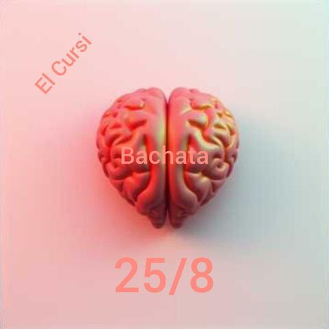 25/8 Bachata