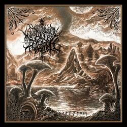 Levitation above the lifeless Ashlands