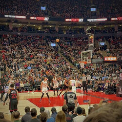 courtside