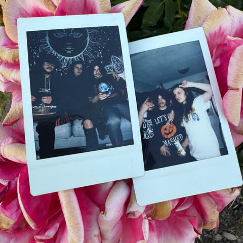 pictures (feat. Foreign Forest & lilidentitycrisis)