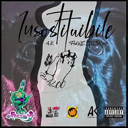 Insostituibile
