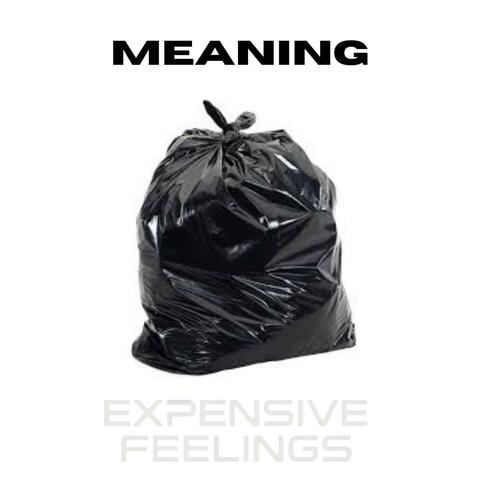 MEANING