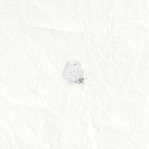 the best feelings in the world