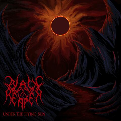 Under The Dying Sun