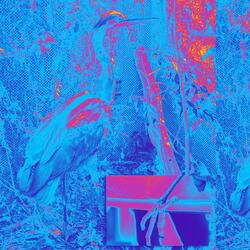 Whatever You Thought This Was