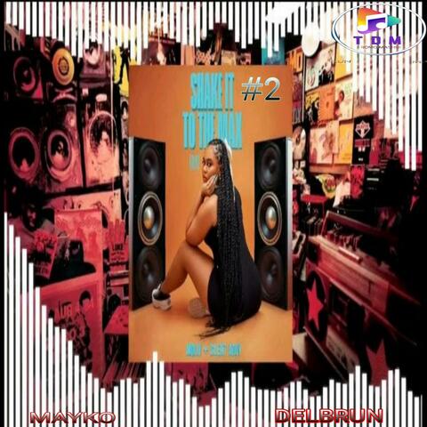 Shake it to the max mashup 2025 #2