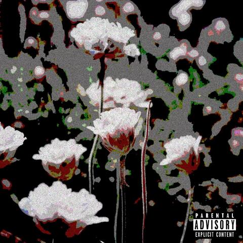 FAREWELL TO MY V!CES