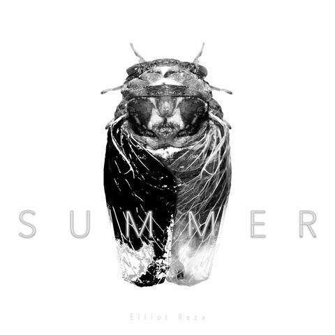 Summer (Stripped)