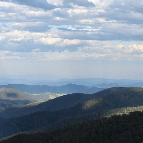 Andrew Laurie Lookout