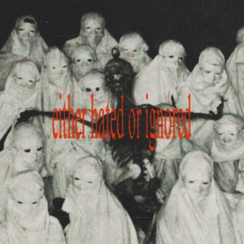 either hated or ignored