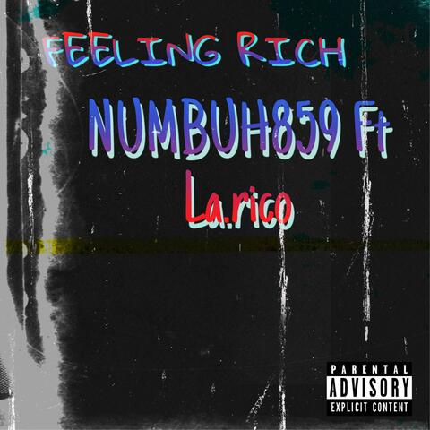 Numbuh 859 Feeling Rich (feat. La.rico)