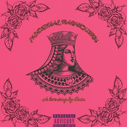 MEDIEVAL FASHIONISTA