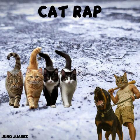 Cat Rapping (Yuno Miles Diss Track)