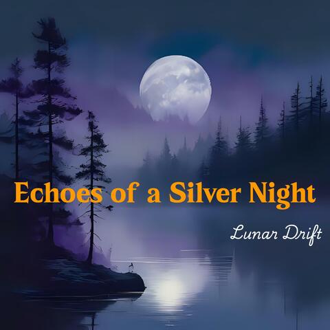 Echoes of a Silver Night