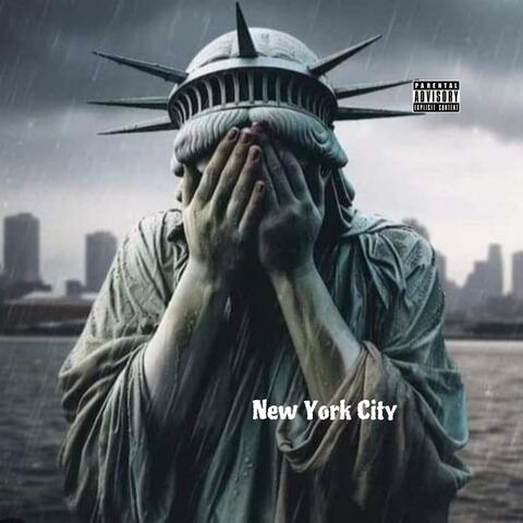 New York City N.Y.C.