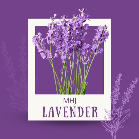 Lavender
