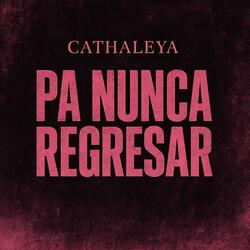 Pa Nunca Regresar