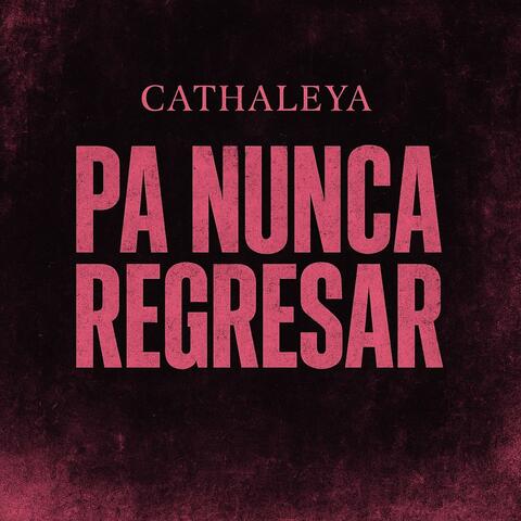 Pa Nunca Regresar