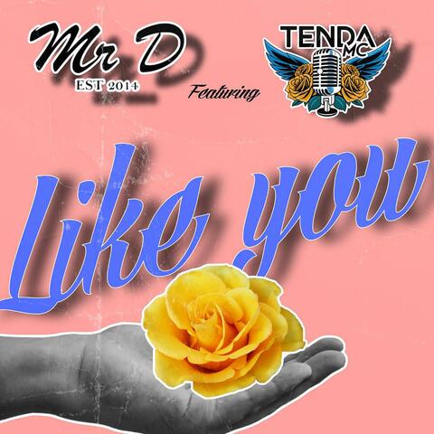 Like You (feat. Tenda MC)
