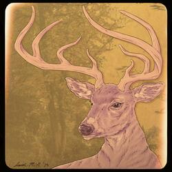 Arrows (There The Heart Goes)