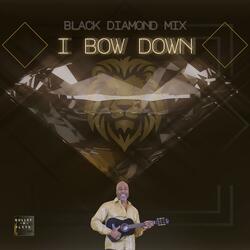 I Bow Down (Black Diamond Mix)