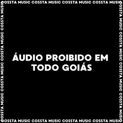 ÁUDIO PROIBIDO EM TODO GOIÁS (feat. mc lipzl)