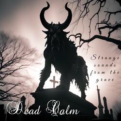 The Lord Of Darkness