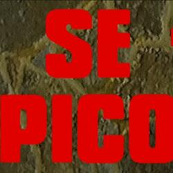 Se pico