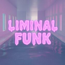 LIMINAL FUNK