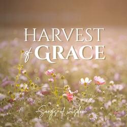 Harvest of Grace
