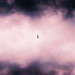 Lonely Heaven