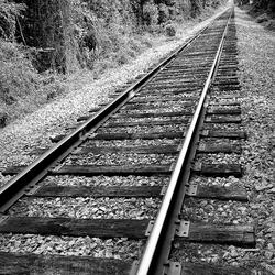 Simple Timez (feat. Santana Bandanna)