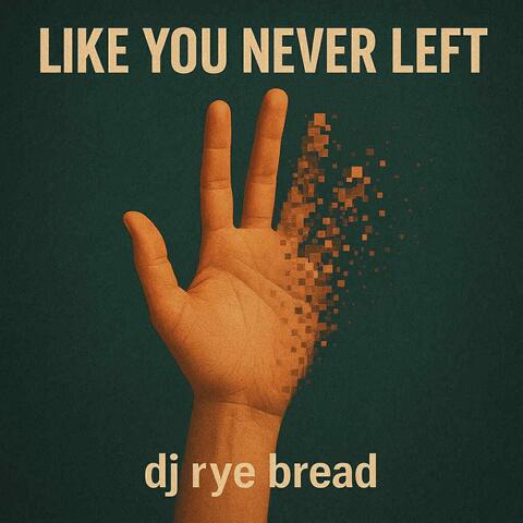 Like You Never Left