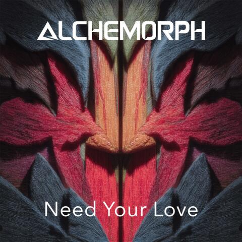 Need Your Love