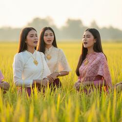 แอบฮักในความเงียบ
