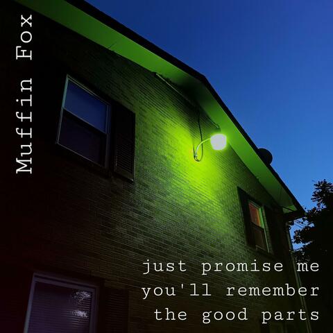 Just promise me you'll remember the good parts