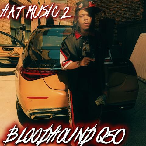 BloodHound Q50 Hat Music 2
