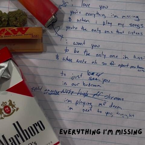 everything i'm missing