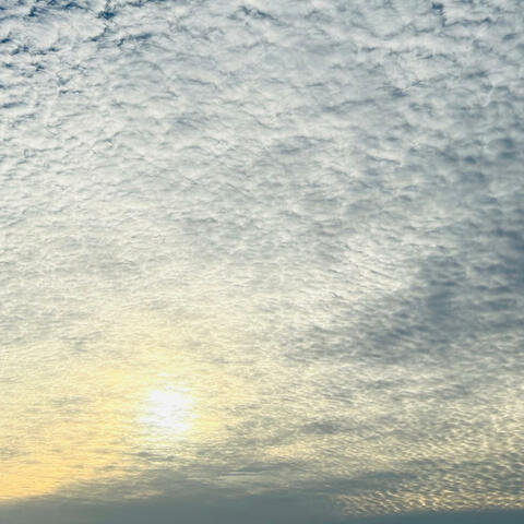 君のいない朝に
