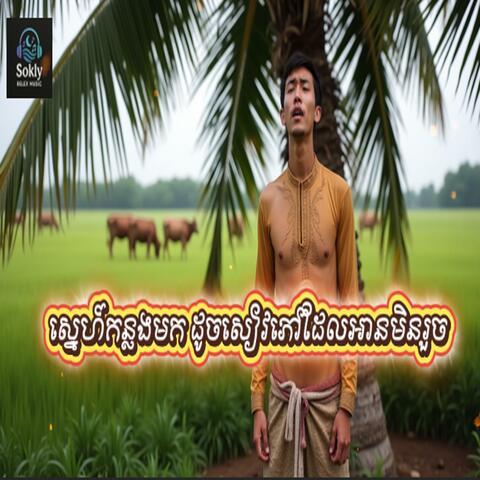 ស្នេហ៍កន្លងមក ដូចសៀវភៅដែលអានមិនរួច-Music Ai
