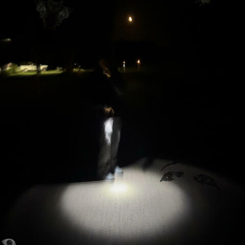 faceless