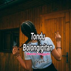 Tondu Bolongigitan