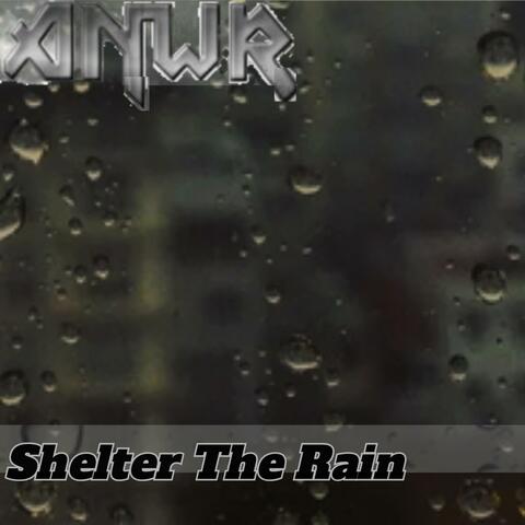 Shelter The Rain