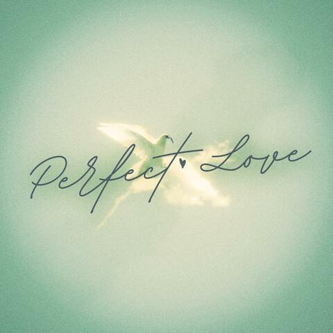 PERFECT LOVE